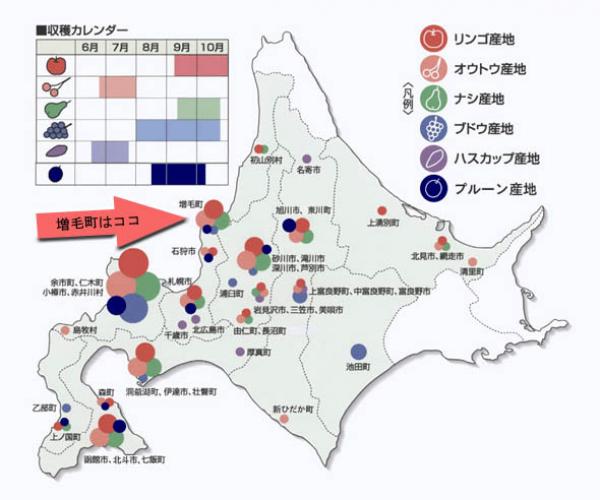 きたやさいブログ きたやさい ホクレン農業協同組合連合会